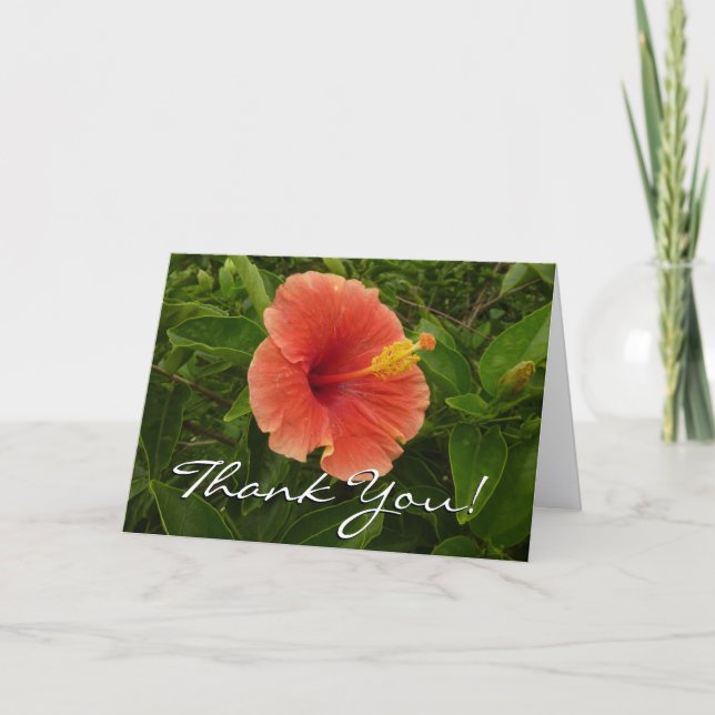 Tarjeta De Agradecimiento Flor Tropical de Hibisco Naranja (Anverso)