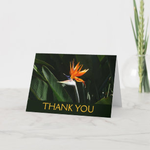 Tarjeta De Agradecimiento Flor tropical naranja Ave del Paraíso