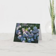 Floral Hydrangea Gracias Notes Blank Inside