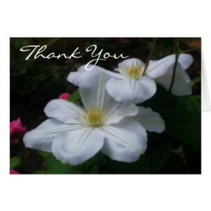 Tarjeta de agradecimiento floral Soft White Clemat