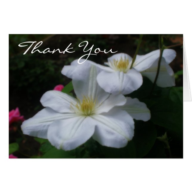Tarjeta de agradecimiento floral Soft White Clemat (Anverso (Horizontal))