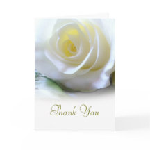 Floral White Rose solidaridad o funeral gracias