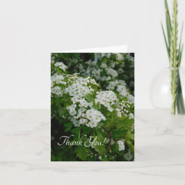 Tarjeta De Agradecimiento Florecer de primavera por Happyappolis