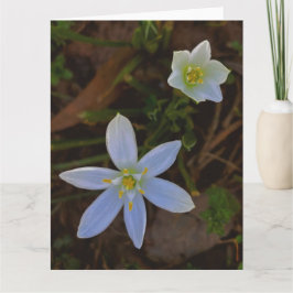 Tarjeta De Agradecimiento florecer en blanco