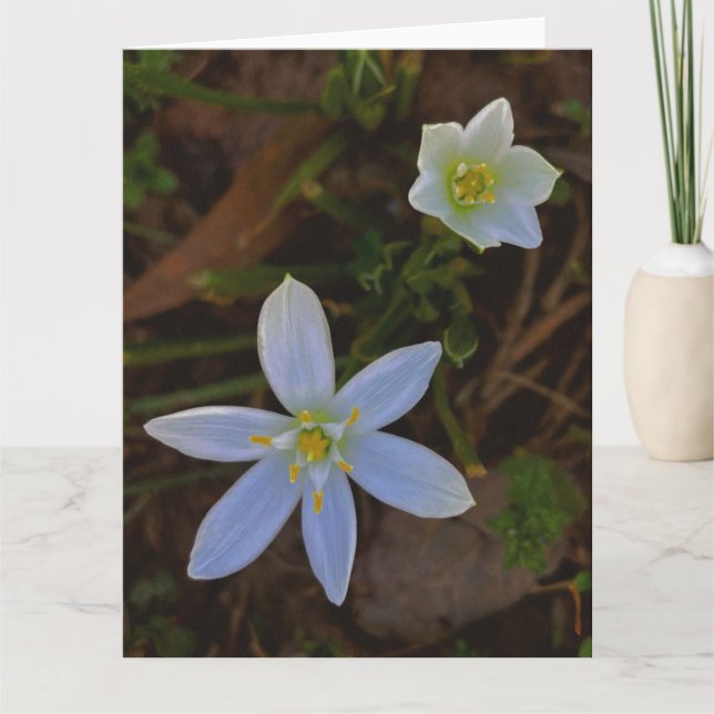 Tarjeta De Agradecimiento florecer en blanco (Anverso)