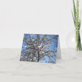 Tarjeta De Agradecimiento Floreciente Árbol de flores de cerezo Notecard