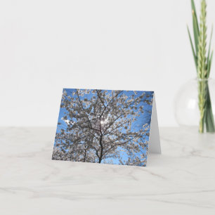 Tarjeta De Agradecimiento Floreciente Árbol de flores de cerezo Notecard
