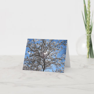Tarjeta De Agradecimiento Floreciente Árbol de flores de cerezo Notecard
