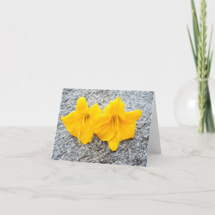 Tarjeta De Agradecimiento flores amarillas diurnas en plena floración