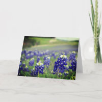 Flores Azules Bluebonnets Texas Floral Texana