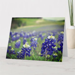 Tarjeta De Agradecimiento Flores azules de Bluebonnets Texas Texan Floral
