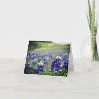 Flores azules de Bluebonnets Texas Texan Floral