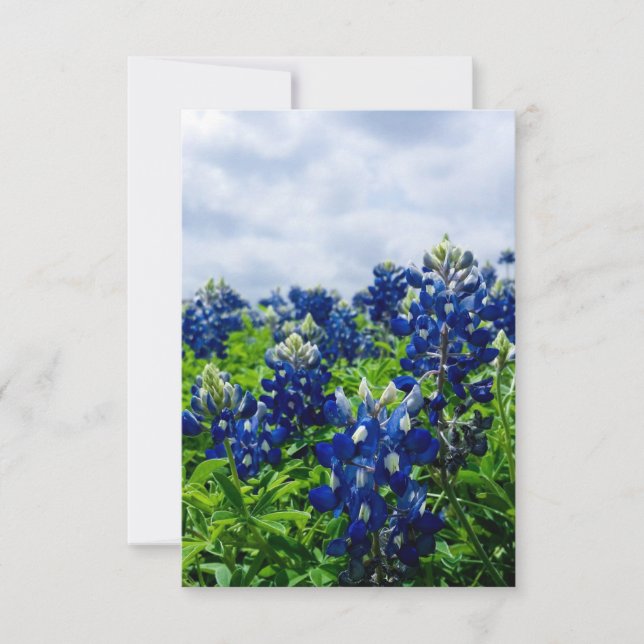 Tarjeta De Agradecimiento Flores azules de Bluebonnets Texas Texan Floral (Anverso)
