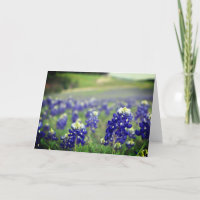 Flores azules de Bluebonnets Texas Texan Floral