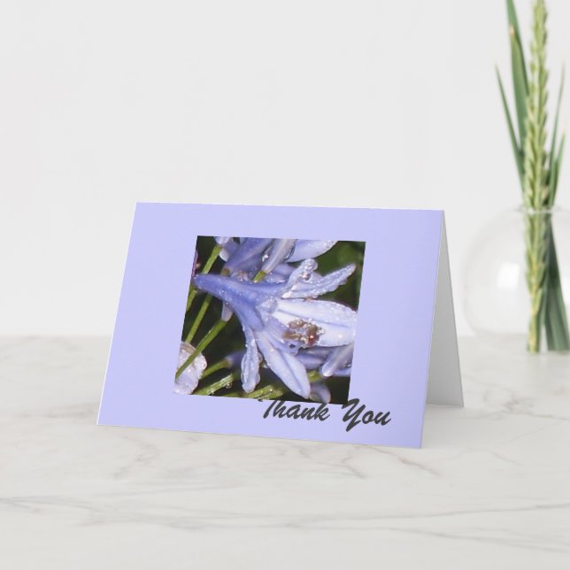 Tarjeta De Agradecimiento Flores azules en la mañana del 1, Gracias (Anverso)