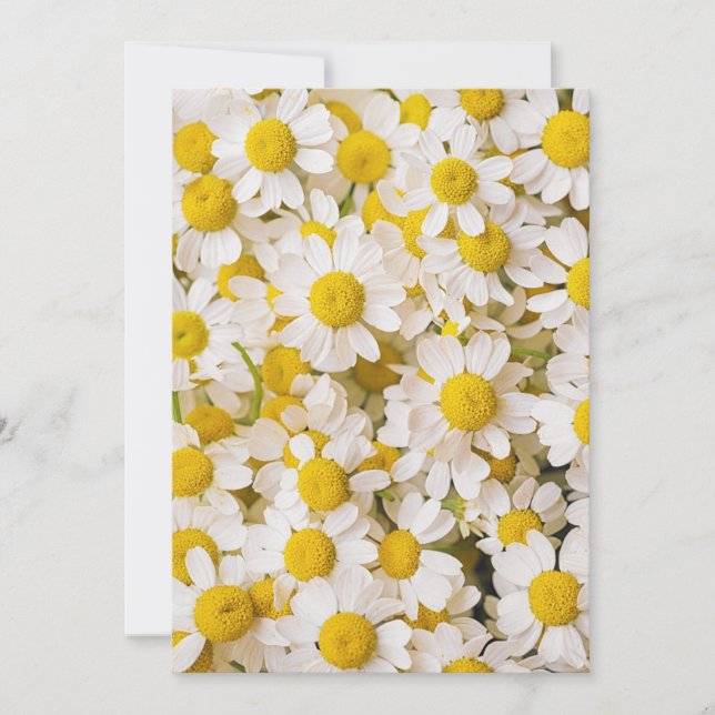 Tarjeta De Agradecimiento Flores | Bunch of Chamomiles (Anverso)