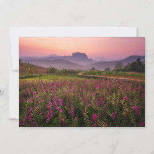 Tarjeta De Agradecimiento Flores Chiang Dao, Chiang Mai, Tailandia