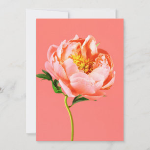 Tarjeta De Agradecimiento Flores   Coral Peony Blossom
