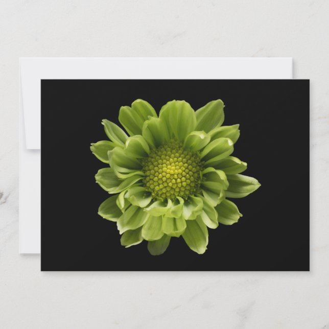 Tarjeta De Agradecimiento Flores | Crisantemo verde (Anverso)