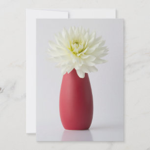 Tarjeta De Agradecimiento Flores   Dahlia blanca en la malla roja