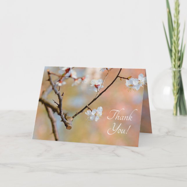 Tarjeta De Agradecimiento Flores de albaricoquí japonesas (Anverso)