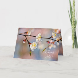 Tarjeta De Agradecimiento Flores de ápricot japonesas encantadoras