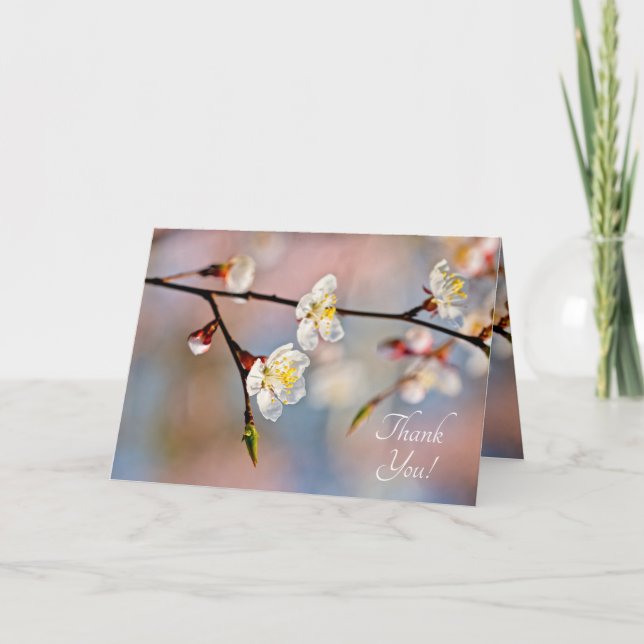 Tarjeta De Agradecimiento Flores de ápricot japonesas encantadoras (Anverso)