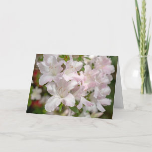 Tarjeta De Agradecimiento Flores de Azalea Rosadas en Floración de Primavera