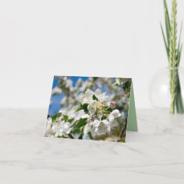 Tarjeta De Agradecimiento Flores de cerezo.