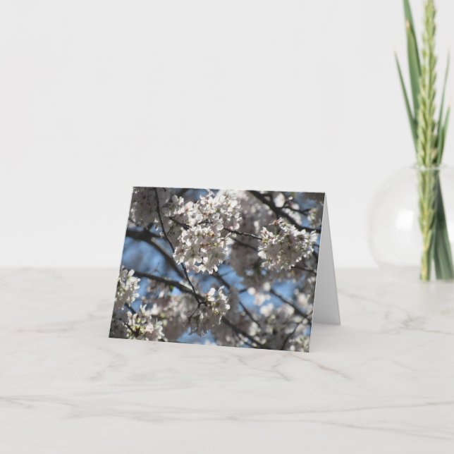 Tarjeta De Agradecimiento Flores de cerezo iluminadas Notecard (Anverso)