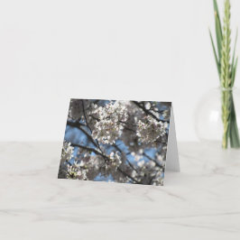 Tarjeta De Agradecimiento Flores de cerezo iluminadas Notecard