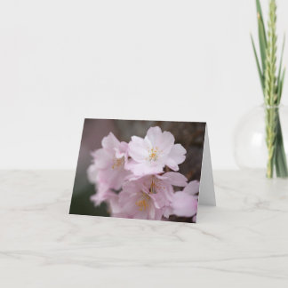 Tarjeta De Agradecimiento Flores de cerezo rosadas