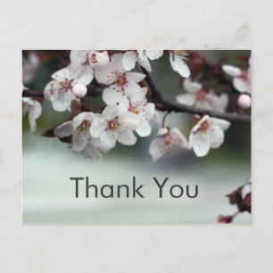 tarjeta de agradecimiento flores de ciruelo