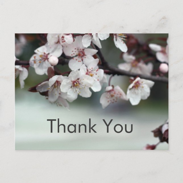 tarjeta de agradecimiento flores de ciruelo (Anverso)