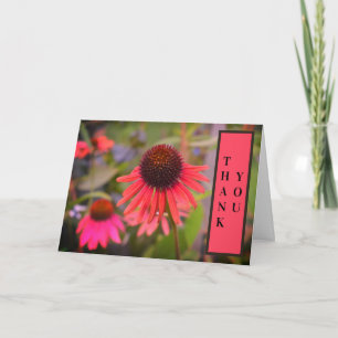 Tarjeta De Agradecimiento Flores de Cono Rojo Echinacea Gracias