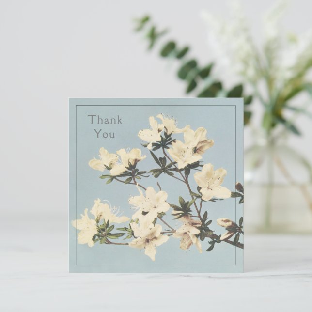 Tarjeta De Agradecimiento Flores de Cream Azalea (Anverso de pie)