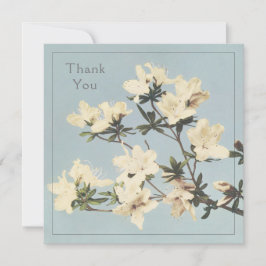 Tarjeta De Agradecimiento Flores de Cream Azalea