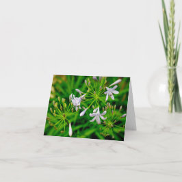 Tarjeta De Agradecimiento Flores de jardín (2)