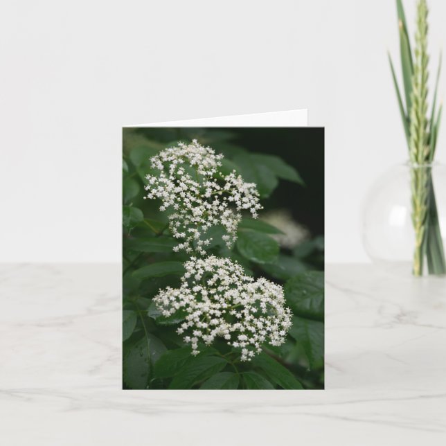 Tarjeta De Agradecimiento Flores de jardín de verano (Anverso)