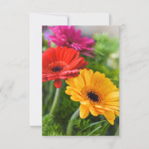 Tarjeta De Agradecimiento Flores de los Gerberas