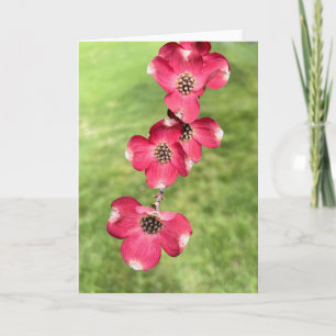 Tarjeta De Agradecimiento Flores de madera de perro rosa