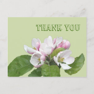 Tarjeta de agradecimiento, flores de manzana