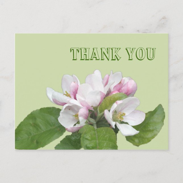 Tarjeta de agradecimiento, flores de manzana (Anverso)