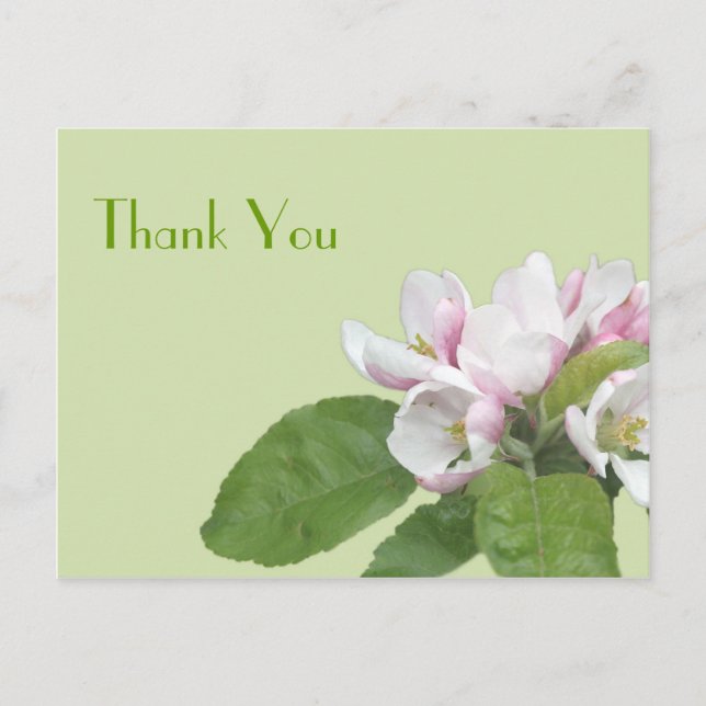Tarjeta de agradecimiento, flores de manzana (Anverso)