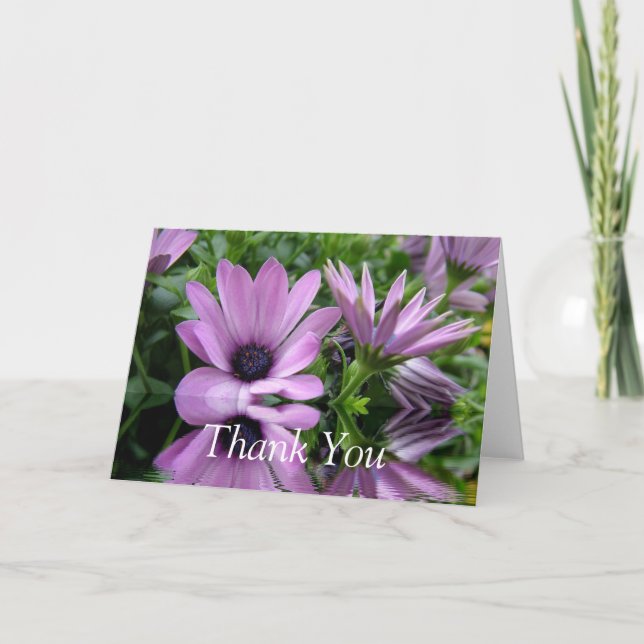 tarjeta de agradecimiento, flores de margarita mor (Anverso)