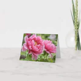 Tarjeta De Agradecimiento Flores de Peonías Rosadas en Flor Blanco