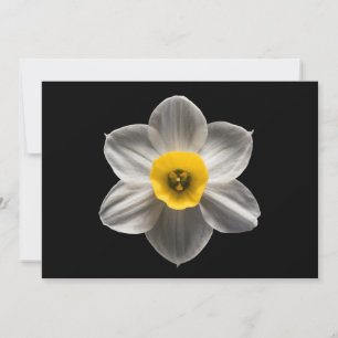 Tarjeta De Agradecimiento Flores Flor de Daffodil blanca