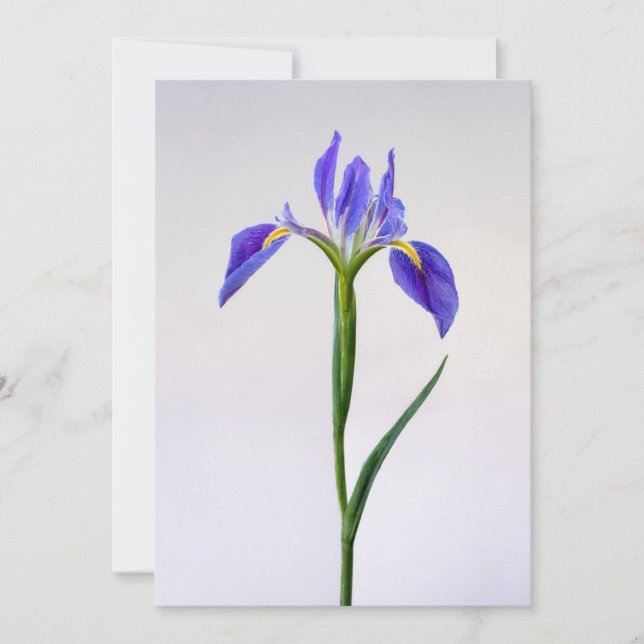 Tarjeta De Agradecimiento Flores | Flor Iris Púrpura (Anverso)