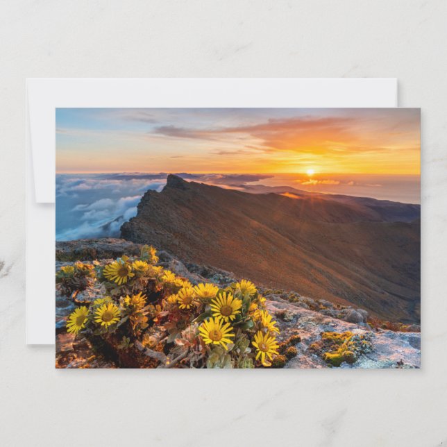 Tarjeta De Agradecimiento Flores | Islas Canarias, España (Anverso)