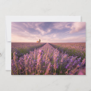 Tarjeta De Agradecimiento Flores   Lavender Southern France